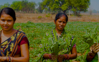 StartupTN-Sectors-Banner-Social Impact, Rural Livelihood & Sustainability